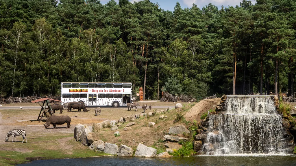 Serengeti-Bustour01